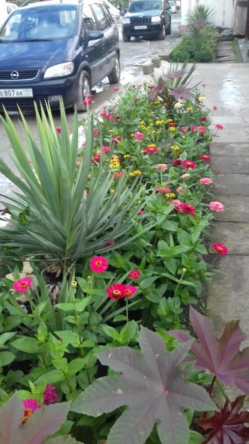 Гостевой дом Guest house Basaria Сухум-31