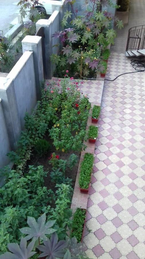 Гостевой дом Guest house Basaria Сухум-35